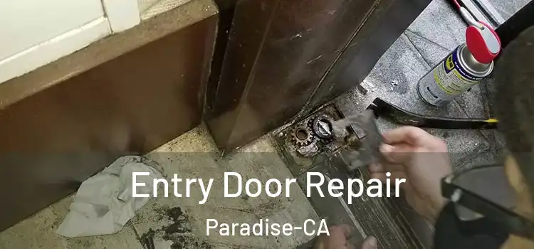  Entry Door Repair Paradise-CA